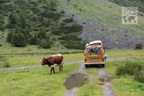 ©360-Photography-Hohe-Tauern-Nationalpark-Jaidbachalm-2014-2
